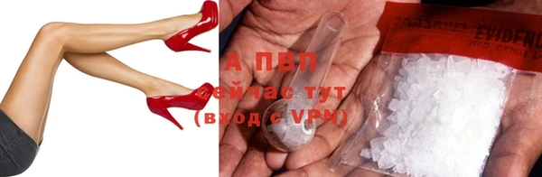 дмт Пестово