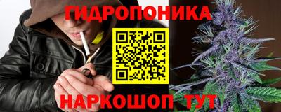 амф Дубна