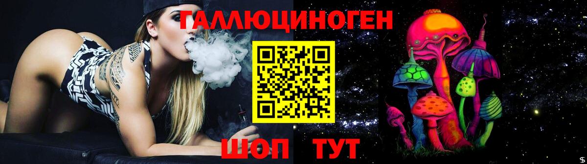 Клинцы  Галлюциногенные грибы GOLDEN TEACHER  Вход с VPN 